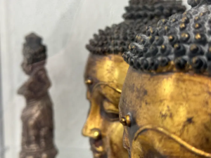 Ganzheitlicher Ansatz – NAD-Plus-Infusionen, TCM und Akupunktur